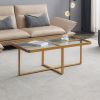 Minimalism rectangle coffee table; Golden metal frame with tempered glass tabletop