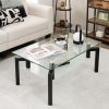 2-Tier Rectangular Glass Coffee Table with Metal Tube Legs