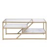 Golden Coffee Table with Storage Shelf;  Tempered Glass Coffee Table with Metal Frame for Living Room&Bedroom