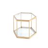 Modern Glass Coffee Table with Gold Finish Stainless Steel Frame